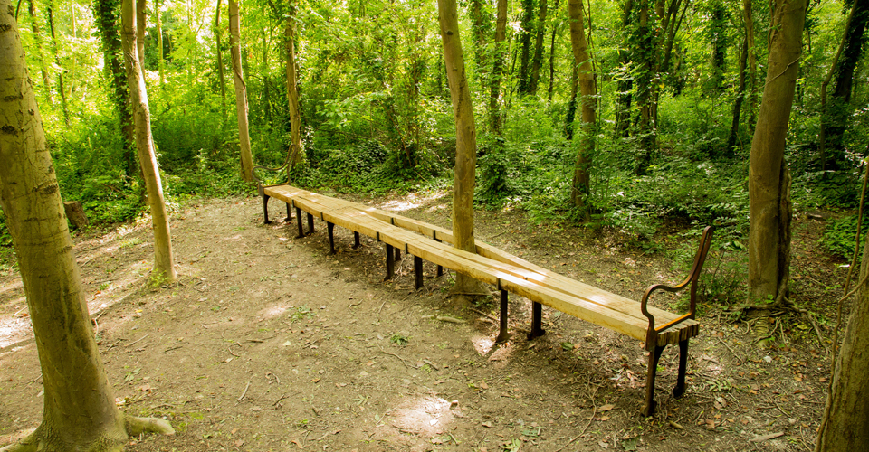 Amiens bench